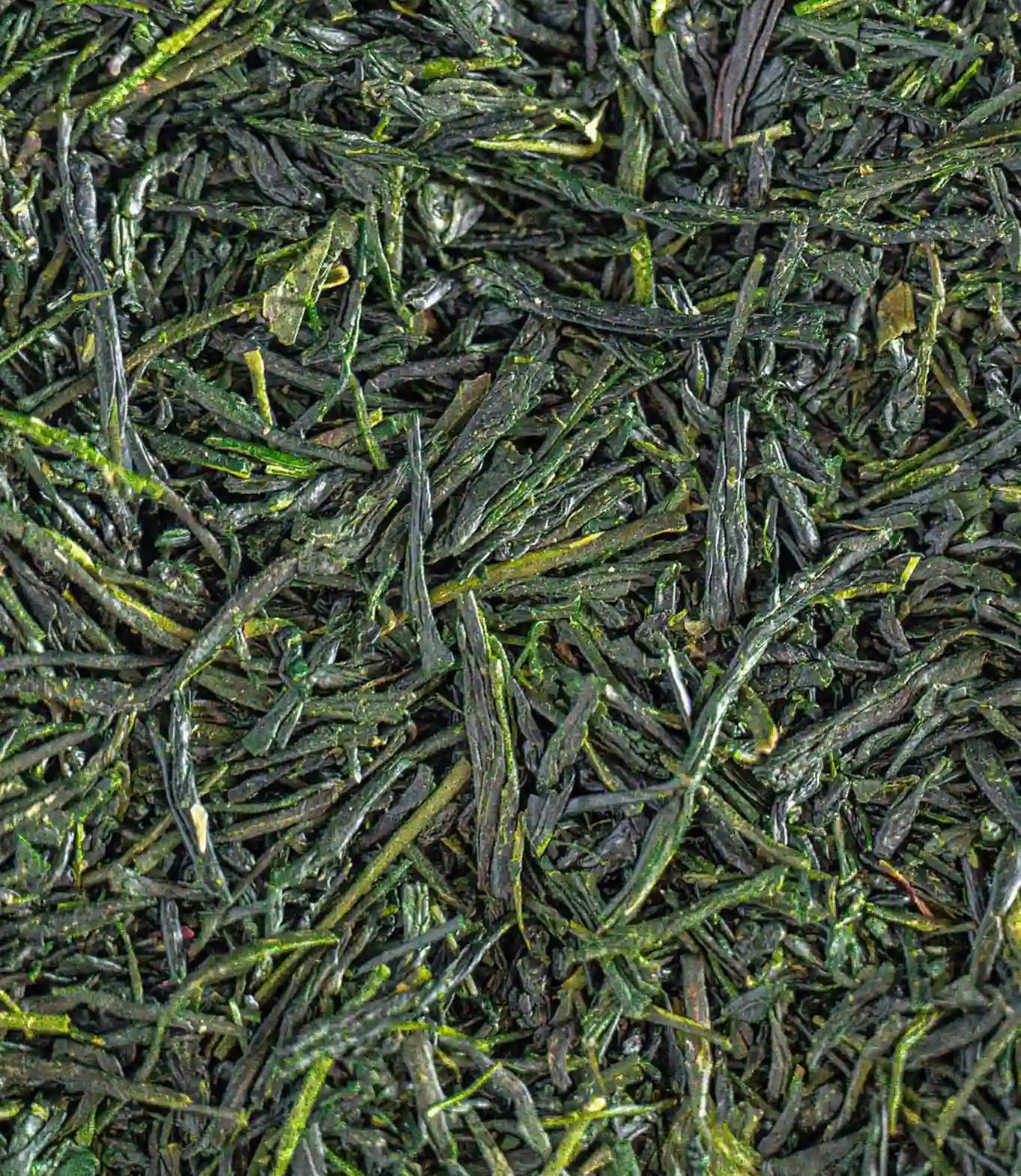 Zanshin Gyokuro Hisui 80g